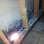 Water leaking into basement, Armory, MS