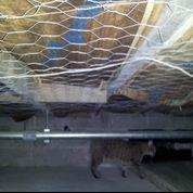 Damp, Moldy Crawlspace in Charleston, MS