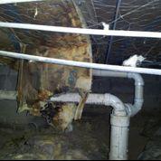 Damp, Moldy Crawlspace in Charleston, MS