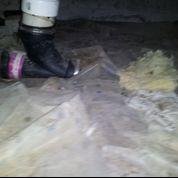 Crawlspace issues in Arlington,TN
