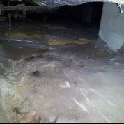 Crawlspace issues in Arlington,TN