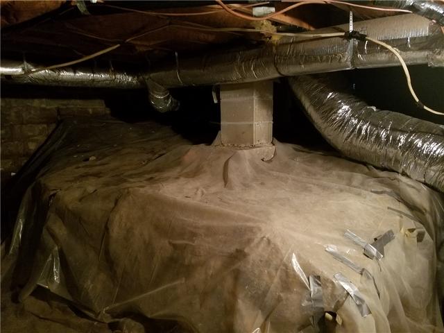 Constant basement and crawl space water problems at Diamondhead Realty.