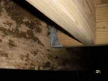 Moldy and damp crawl space in Hernando MS