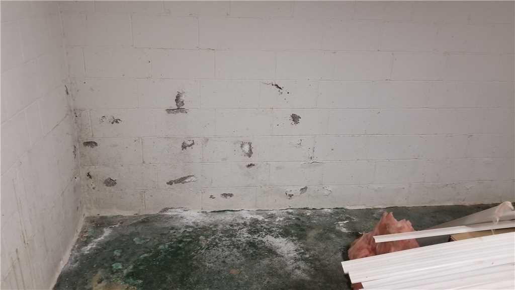 Mold & mildew smell