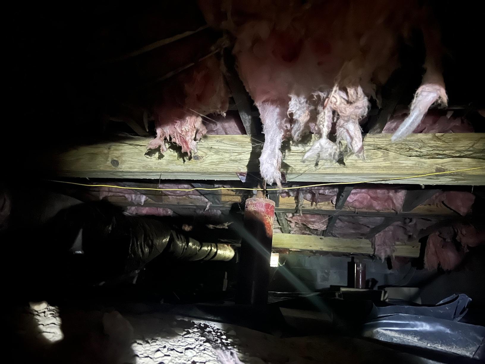 Crawl Space Encapsulation in Columbus, MS