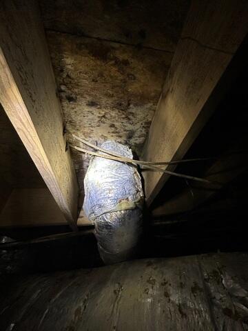 Crawl Space Water Damage in Starkville, MS