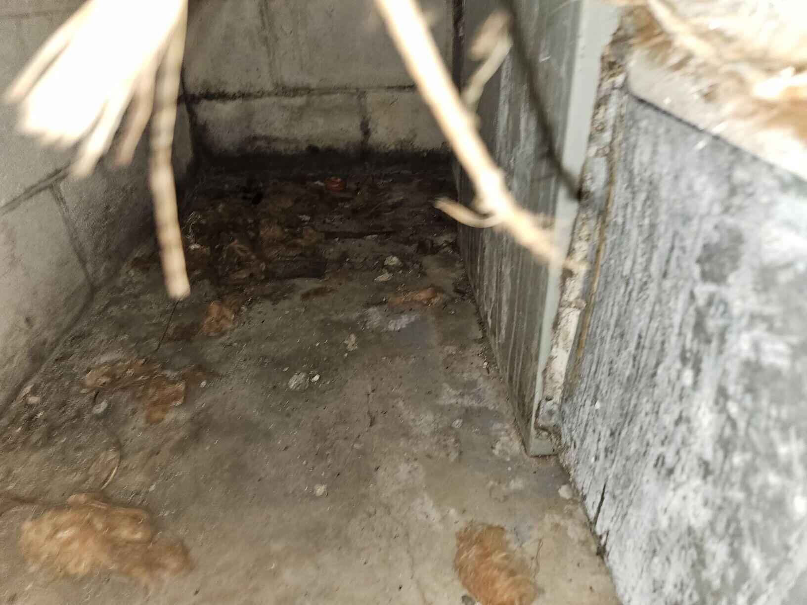 Basement Waterproofing in Oxford, MS