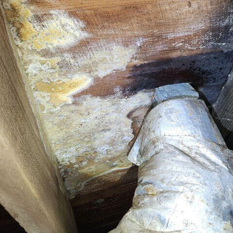 Wet and Moldy Crawl Space Repaired in Columbus, MS