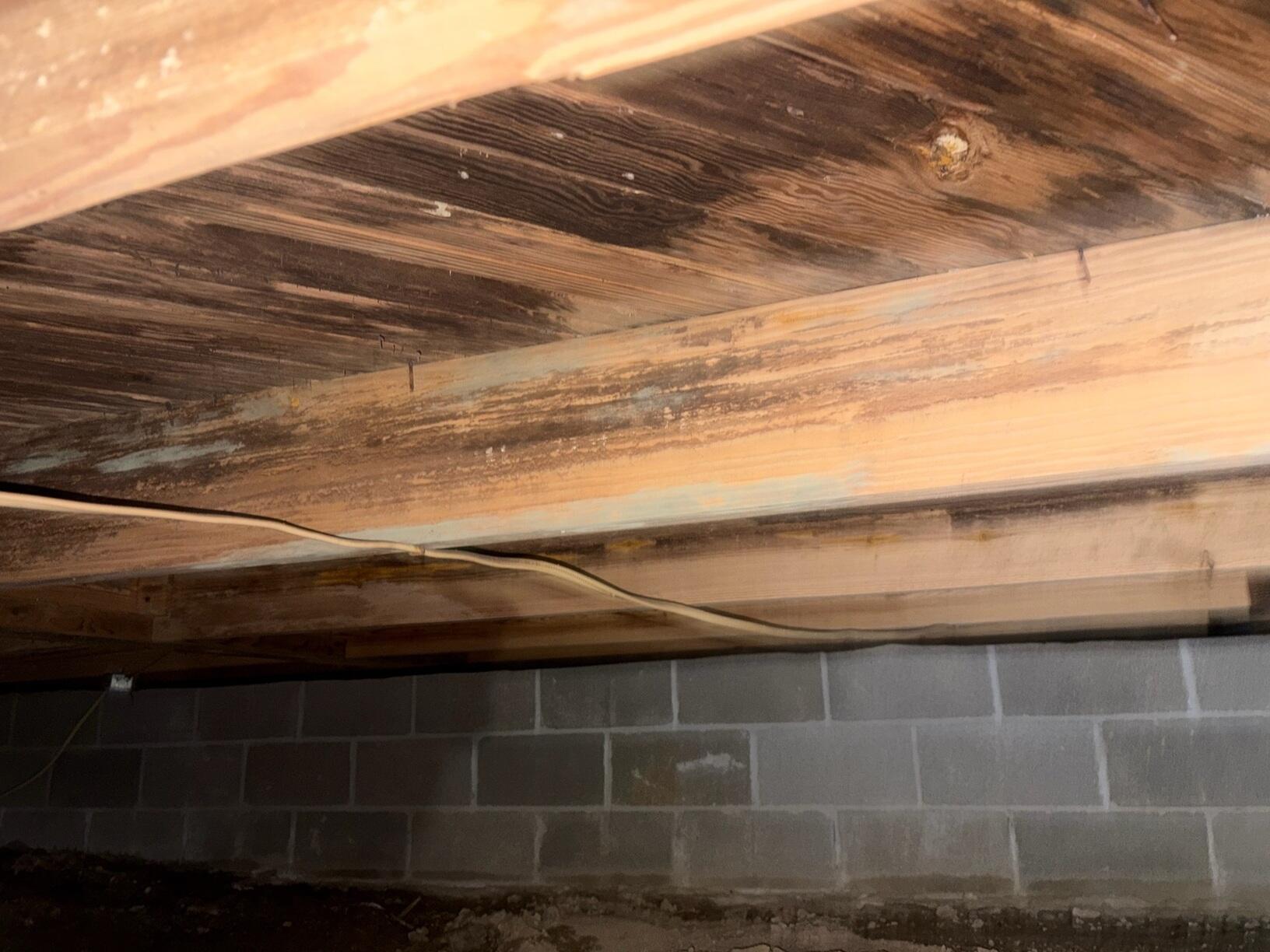 Crawl Space Repair and Protection in Amory, MS