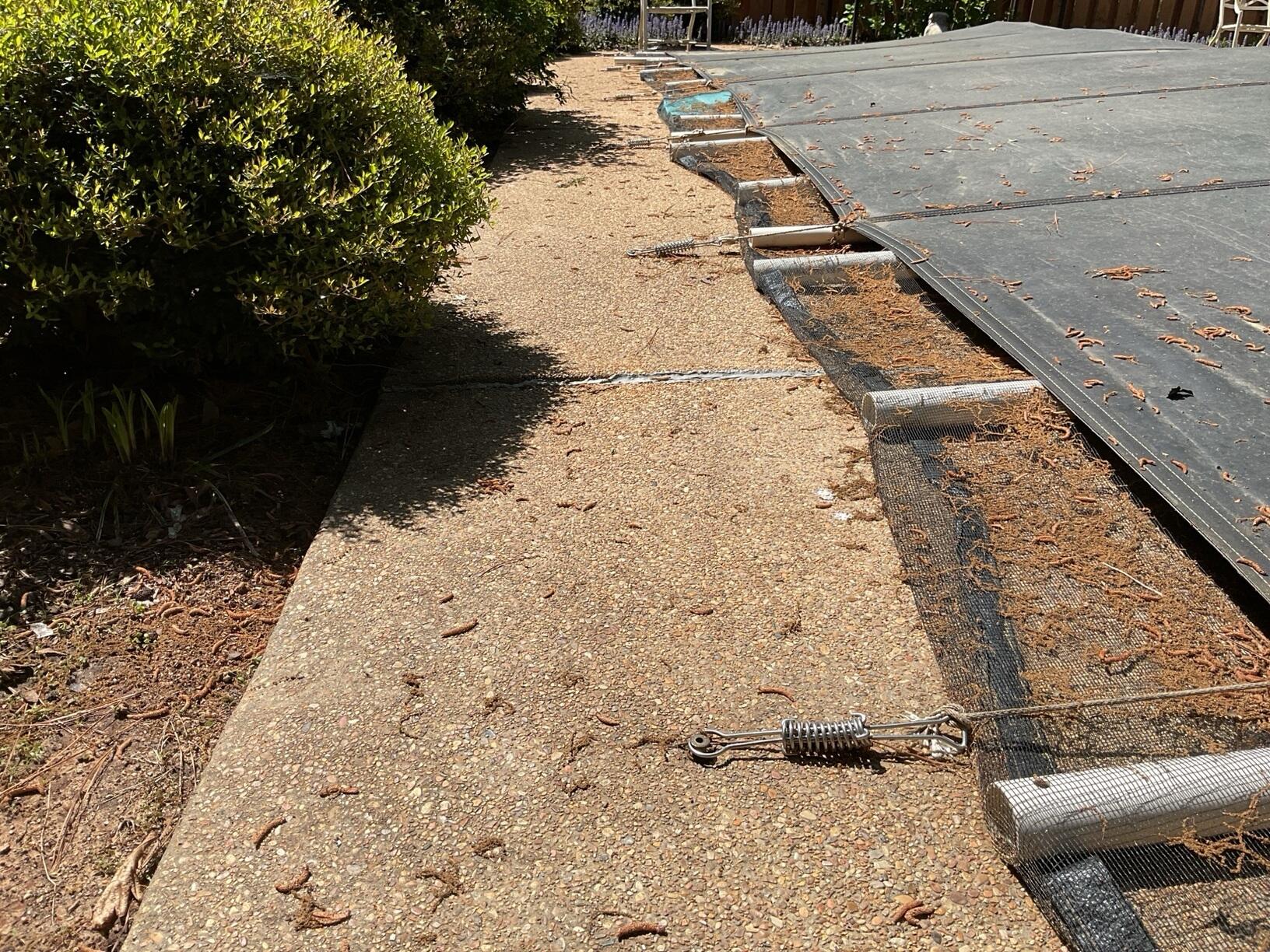 Concrete Leveling & Basement Reinforcement for Mississippi State Representative's Home in Mantachie, MS