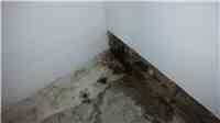 Waterproofing Project