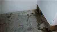 Waterproofing Project