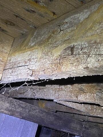Major Crawl Space Reconstruction & Encapsulation in Columbus, MS