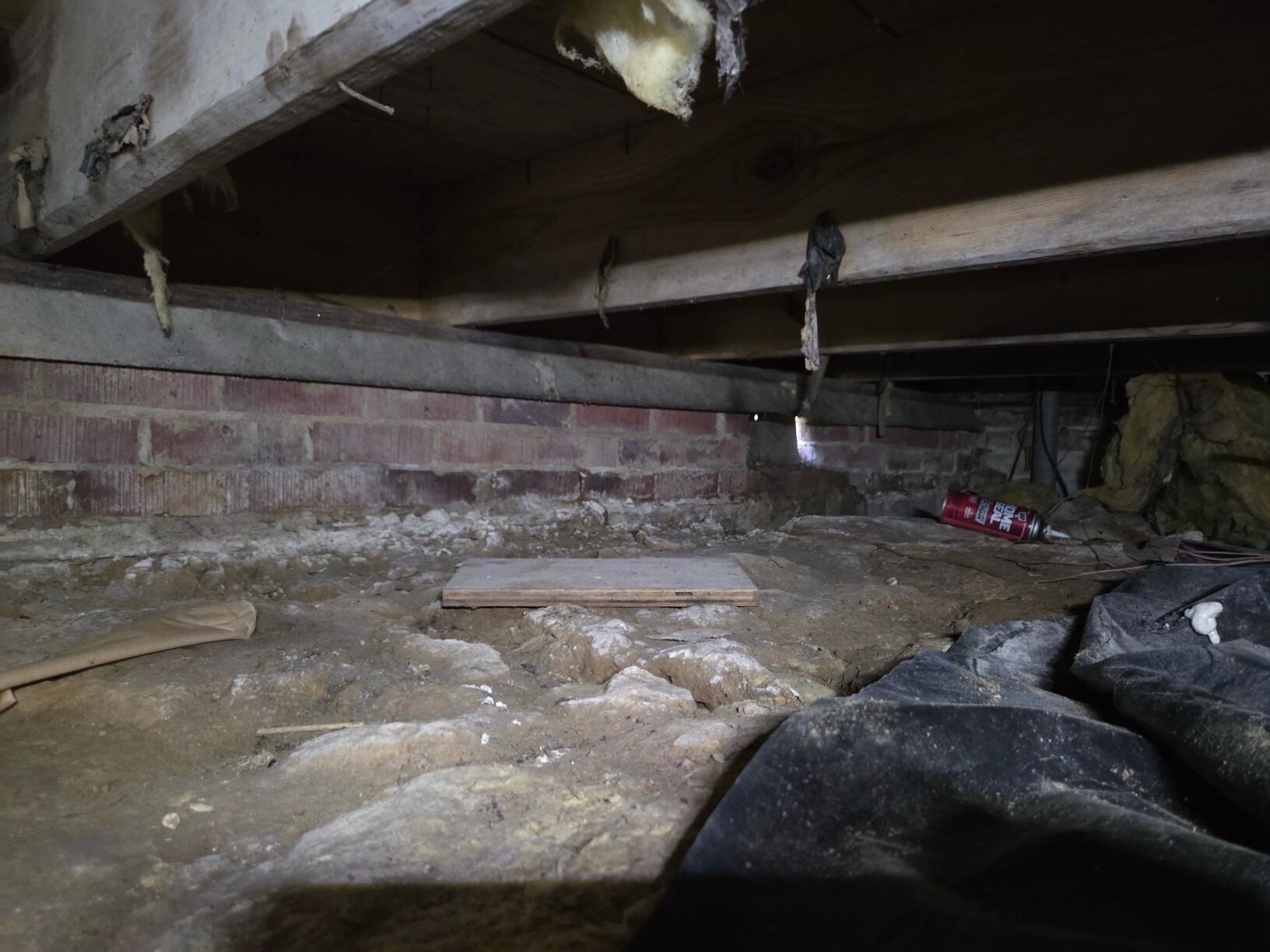 Standing water in crawlspace