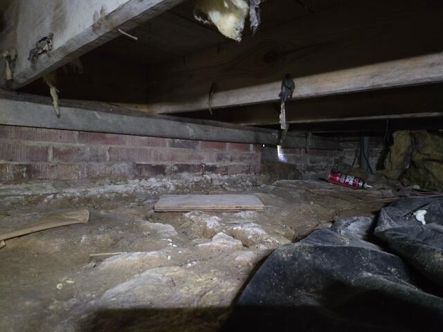 Trusted Basement Waterproofing & Crawlspace Encapsulation in Starkville, MS