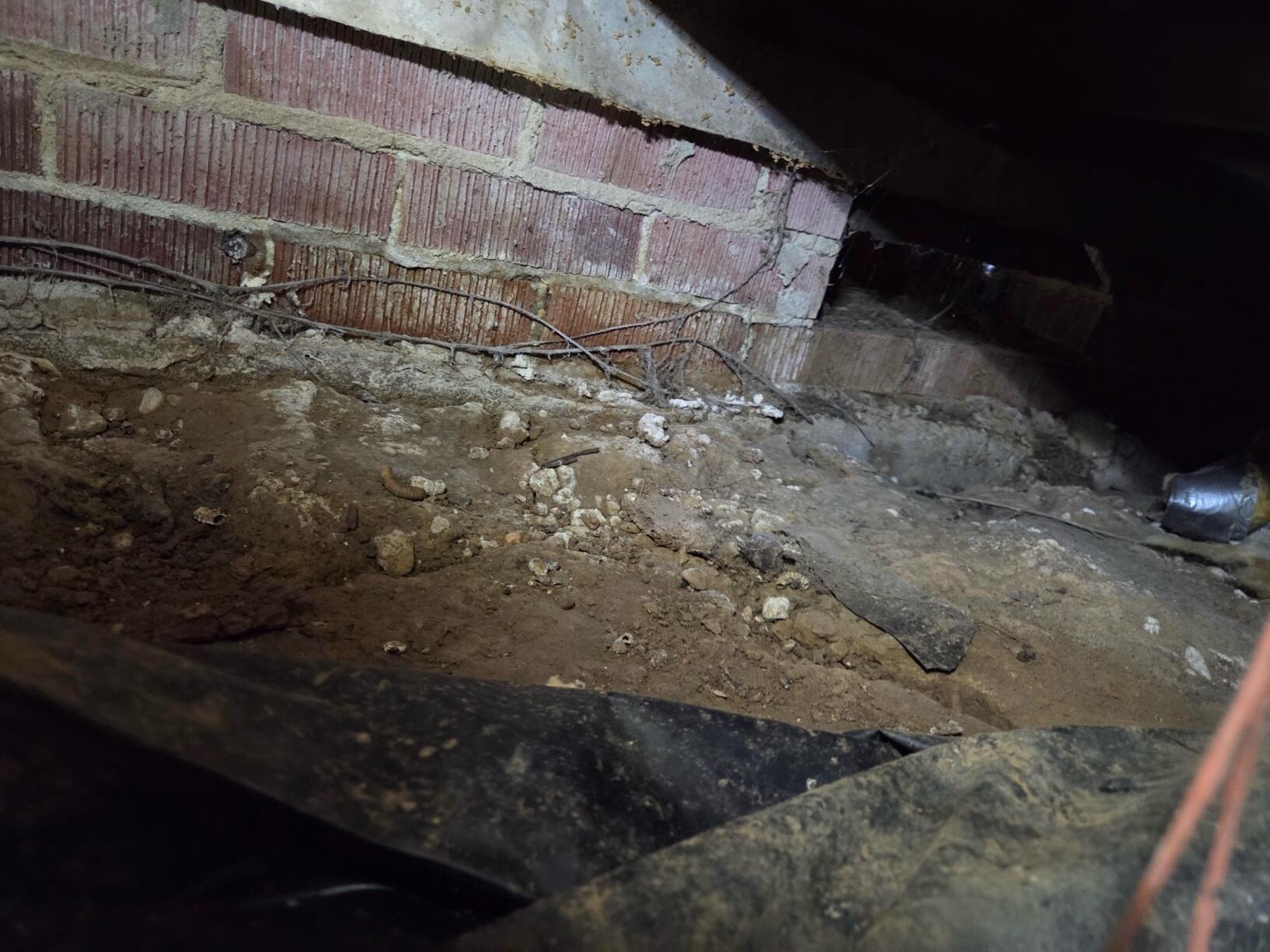 Trusted Basement Waterproofing & Crawlspace Encapsulation in Starkville, MS