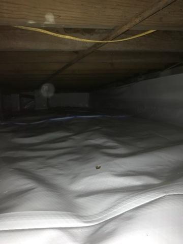 Cold House and Crawl Spaces