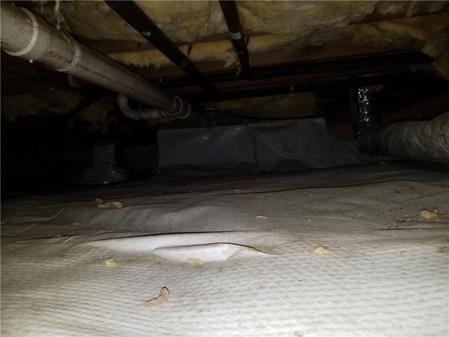 Dirty Crawl Space in West Point, AR