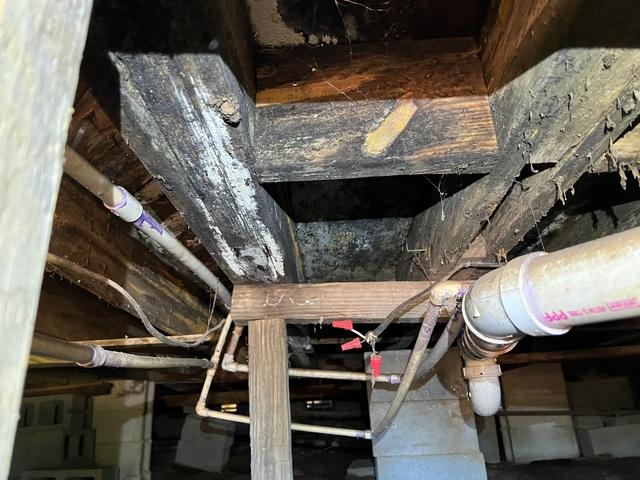 Complete Floor Joist Replacement in Iuka Home Due to Rotten Wood!