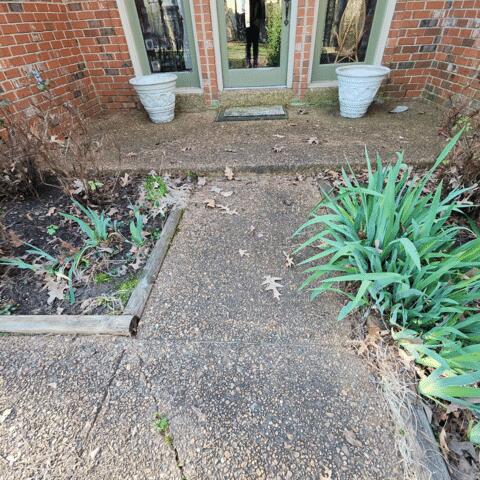 Before