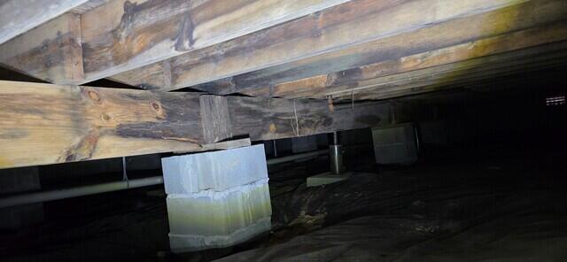 Crawl Space Moisture Damage in Little Rock, AR