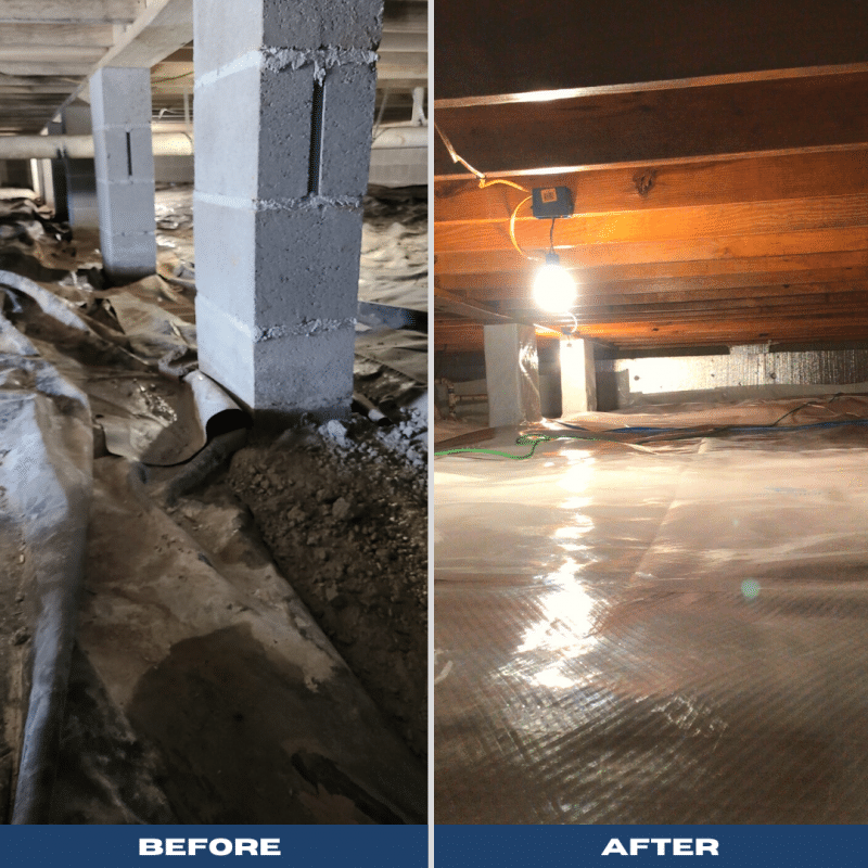 How Encapsulating Your Crawl Space Can Prevent Pesky Termites from Damaging Your Home