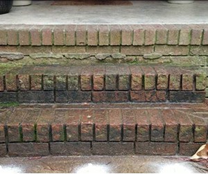 Patio & Steps